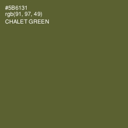 #5B6131 - Chalet Green Color Image